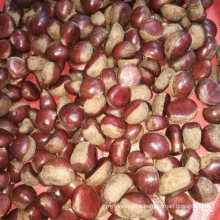 High Quality Dandong Origin Chestnut